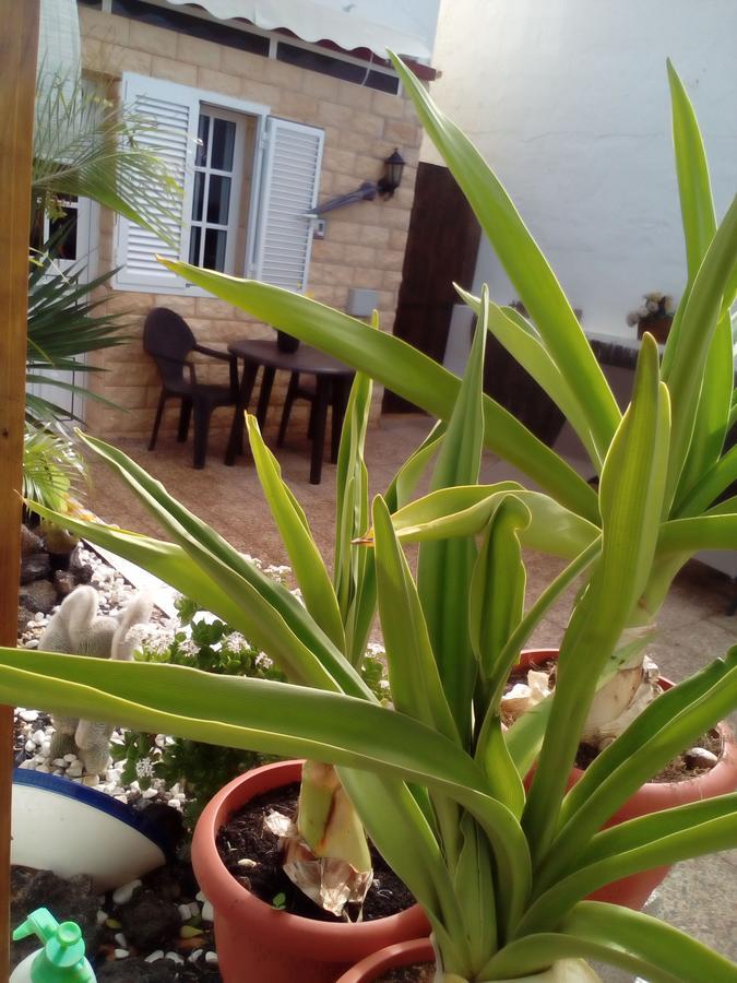 Solo Adultos, Las Tuneras Rooms La Oliva Eksteriør bilde
